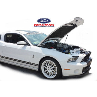 Upgrade Kit Motorhaubengasdruckdämpfer Kit Ford Mustang Bj:2005-2014