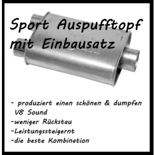 Sport Auspufftopf Ford F150, Raptor Bj:09-14 (mit Doppelausgang)-Copy